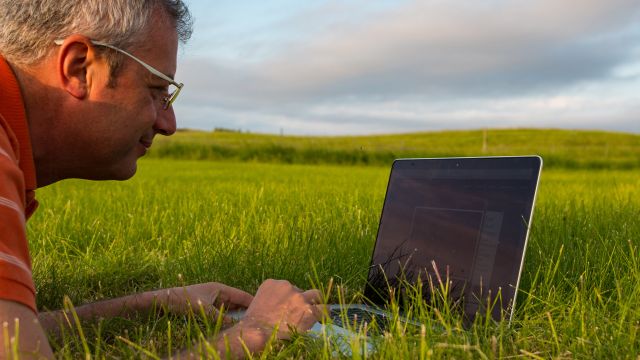 Mann liegt im Gras und arbeitet an einem Laptop