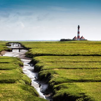 Landschaft mit Westerheversand Leuchtturm im Hintergrund an der Nordsee