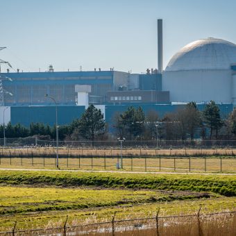 KKW Borssele, im Vordergrund Wiesen mit Zäunen