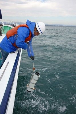 Japanische und internationale Meeresexperten nahmen immer wieder Wasserproben aus dem Umfeld der Anlage 