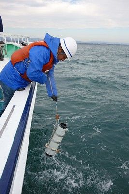 Japanische und internationale Meeresexperten nahmen immer wieder Wasserproben aus dem Umfeld der Anlage Japanische und internationale Meeresexperten nahmen immer wieder Wasserproben aus dem Umfeld der Anlage