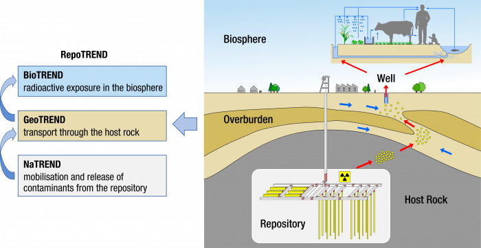 Illustration of different exposure pathways with external exposure (Exposure from the outside to the body) and internal exposure (intake of radioactive substances into the human body e.g. via airway or food)
