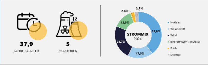 Grafik zu Strommix, Anzahl und Alter der finnischen Reaktoren mit Stand 2024 