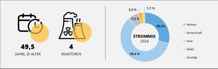 Grafik zu Strommix, Anzahl und Alter der Schweizer Reaktoren mit Stand 2024 