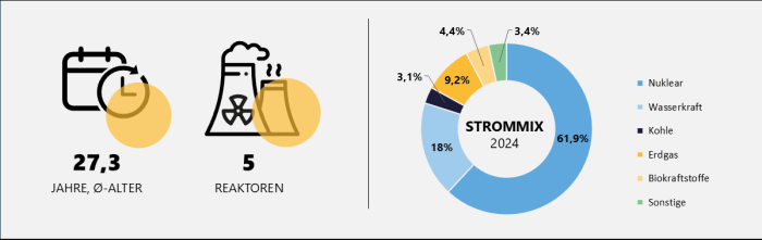 Grafik zu Strommix, Anzahl und Alter der slowakischen Reaktoren mit Stand 2024 