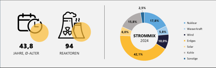 Grafik zu Strommix, Anzahl und Alter der US-amerikanischen Reaktoren mit Stand 2024 