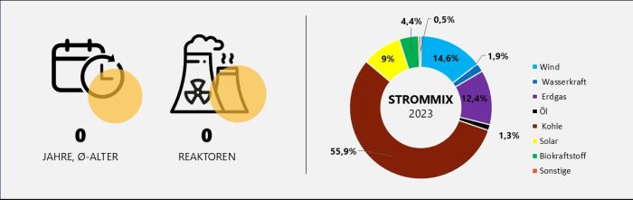 KKW und Strommix Polen