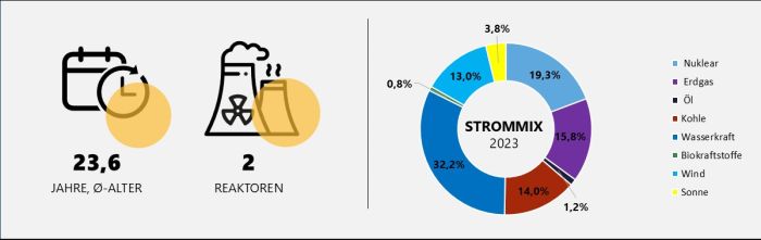 Durchschnittsalter und Anzahl der Reaktoren sowie Strommix Rumänien