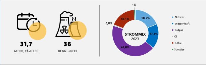 Durchschnittsalter und Anzahl der russischen Reaktoren sowie Strommix Russland