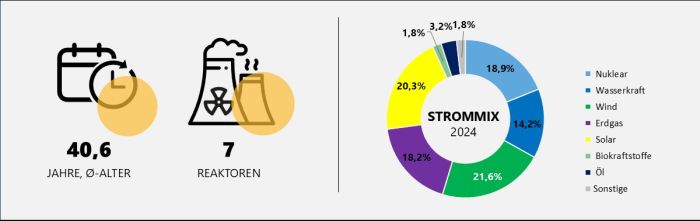 Durchschnittsalter und Anzahl der spanischen Reaktoren sowie Strommix Spanien