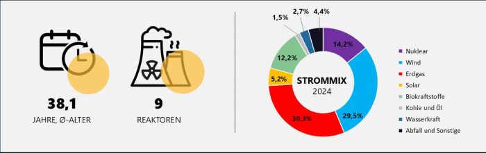 Anzahl und durchschnittliches Alter der Leistungsreaktoren und Strommix 2024