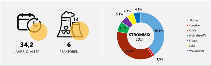 Durchschnittsalter und Anzahl der tschechischen Reaktoren sowie Strommix Tschechien