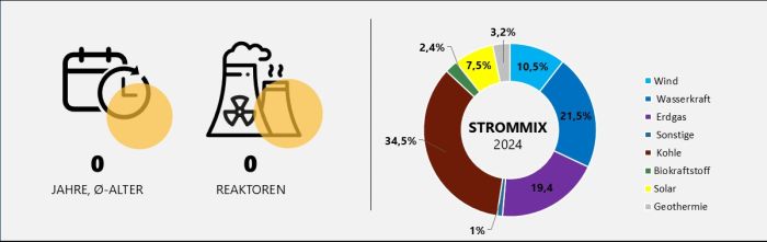 Durchschnittsalter und Anzahl der türkischen Reaktoren sowie Strommix Türkei