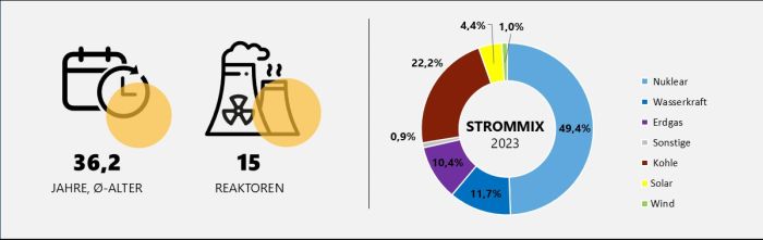 Durchschnittsalter und Anzahl der ukrainischen Reaktoren sowie Strommix Ukraine