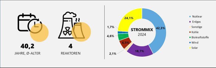 Durchschnittsalter und Anzahl der ungarischen Reaktoren sowie Strommix Ungarn