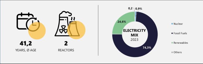 Average age, number of reactors and electricity mix in Africa
