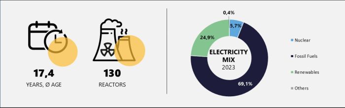 Average age, number of reactors and electricity mix in Asia