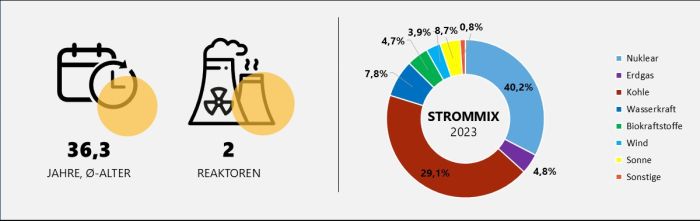 Durchschnittsalter und Anzahl der bulgarischen Reaktoren sowie Strommix Bulgarien