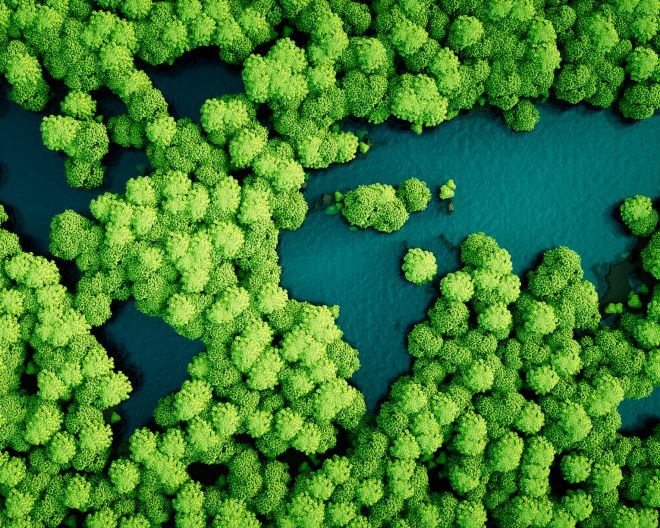 Regenwald-Seen in die Form der Kontinente