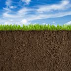 Erdboden, Gras und blauer Himmel