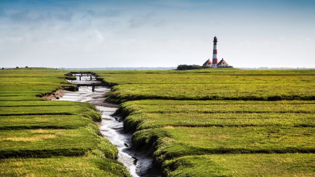 Landschaft mit Westerheversand Leuchtturm im Hintergrund an der Nordsee