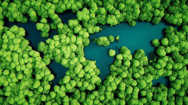 Regenwald-Seen in die Form der Kontinente
