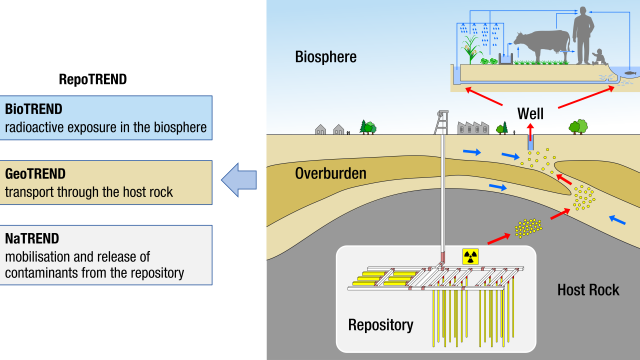 Illustration of different exposure pathways with external exposure (Exposure from the outside to the body) and internal exposure (intake of radioactive substances into the human body e.g. via airway or food) Illustration of different exposure pathways with external exposure (Exposure from the outside to the body) and internal exposure (intake of radioactive substances into the human body e.g. via airway or food)